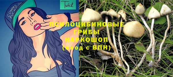 гашик Белоозёрский