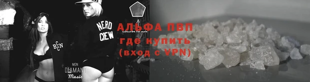гашик Белоозёрский