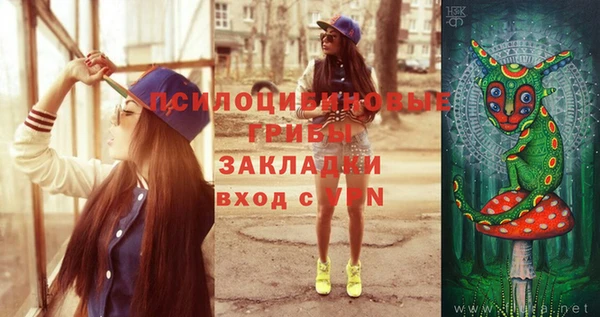 гидропоника Белокуриха