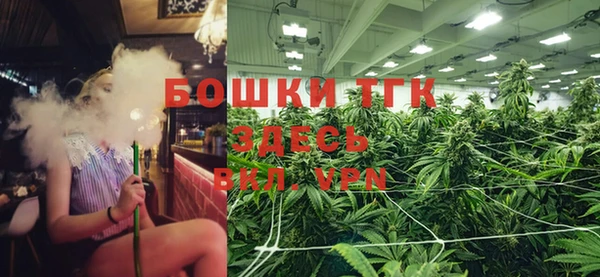 гидропоника Белокуриха